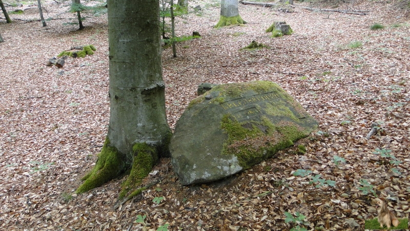 Ritterstein Nr. 127-2 Erlenbrunnen 140Schr..JPG - Ritterstein Nr.127  Erlenbrunnen 140Schr.                               